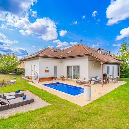 Vila Sara S Bazenem A Infrasaunou Na Kraji Prahy Zbuzany エクステリア 写真